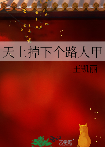 天上掉下个路人甲